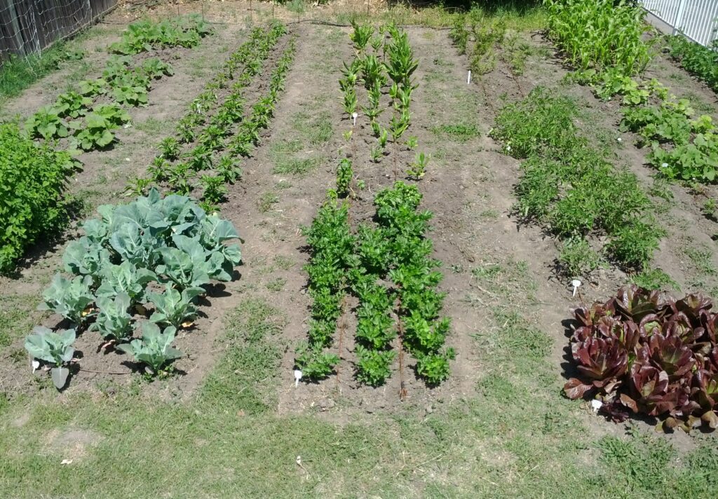 Sustainable Living